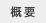 概要